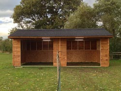 Retirement Livery services at Balterley Stables